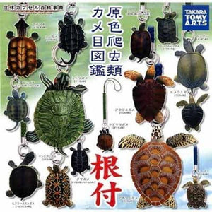 Takara TOMY Primary color reptile Turtle encyclopedia figure Netsuke (set of 15) - DREAM Playhouse