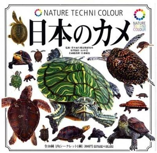 Kitan Club Nature Techni Color Japan Turtle encyclopedia figure (set of 10) - DREAM Playhouse