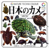 Kitan Club Nature Techni Color Japan Turtle encyclopedia figure (set of 10) - DREAM Playhouse